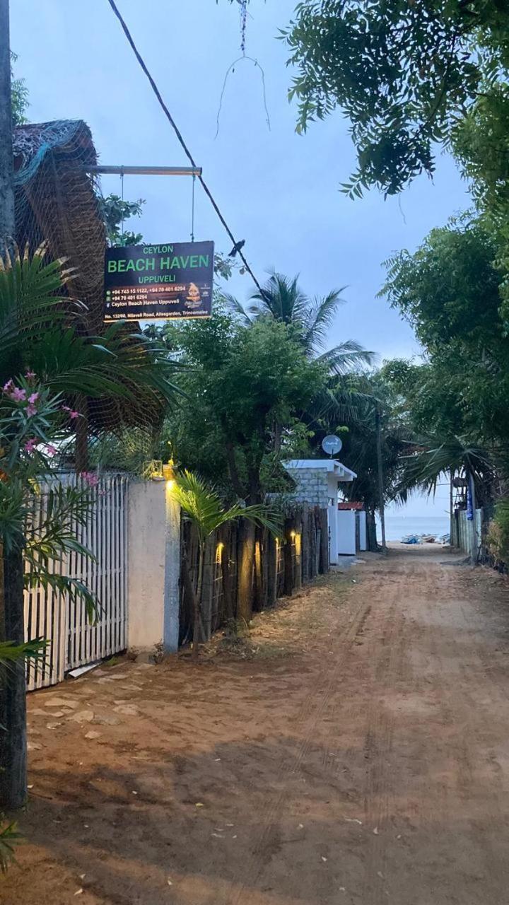Ceylon Beach Haven Uppuveli تريكونامالاي المظهر الخارجي الصورة